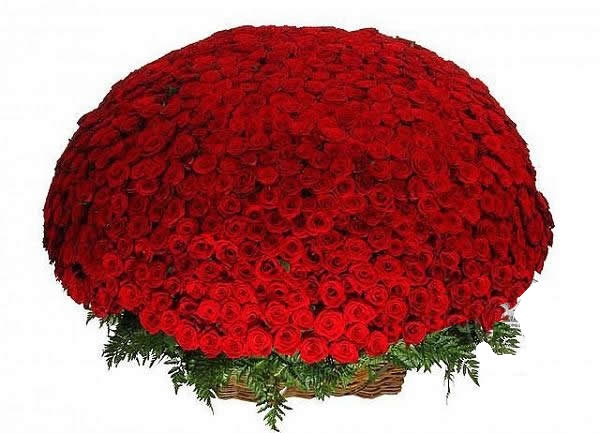 1001 adet kırmızı güller ile hazırlanmış sepet aranjman          