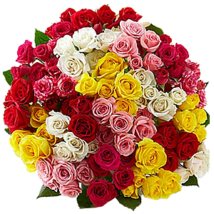 100 adet özel seçilmiş renkli g