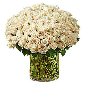 100 adet özel seçilmiş  beyaz g