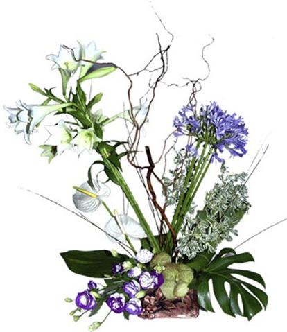 Mavi ve beyaz mevsim çiçeklerinden aranjman