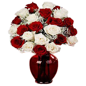 21 adet kırmızı ve beyaz güller
