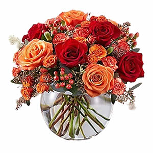 Canusta kırmızı gül ve sonbahar