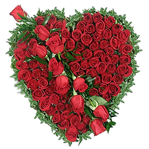 61 adet kırmızı güllerden hazı