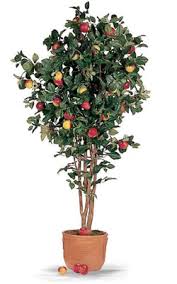 Yapay meyve ağaç küp saksıda dekore edilmiş ortalama boy(170-200 cm)                              