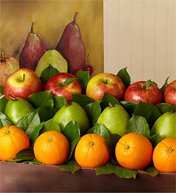 Elma armut ve portakallar ile farklı tasarım               